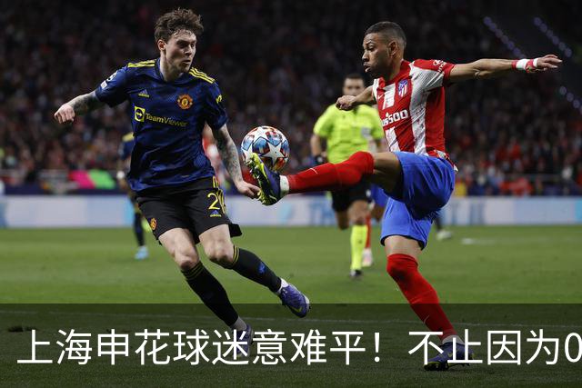上海申花球迷意难平！不止因为0-2上海海港，更多在于以下五点！
