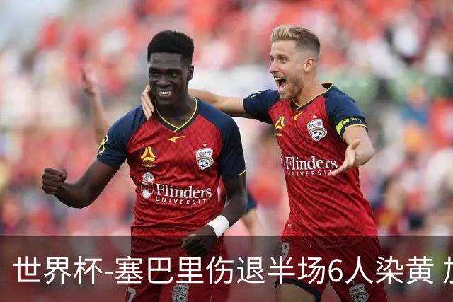 世界杯-塞巴里伤退半场6人染黄 加拿大半场0-0摩洛哥