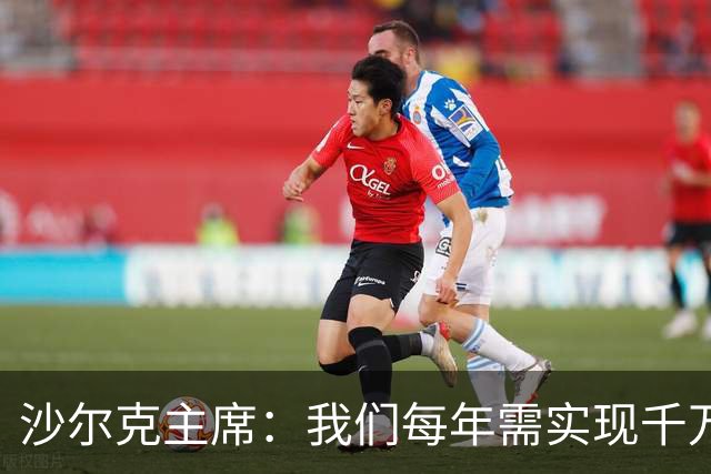沙尔克主席：我们每年需实现千万欧净利润，面临德甲最大竞争劣势
