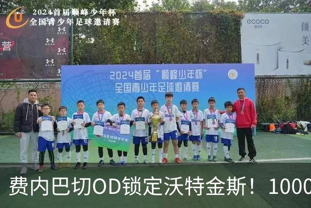 费内巴切OD锁定沃特金斯！1000万欧年薪展开攻势，维拉4000万欧标价成关键