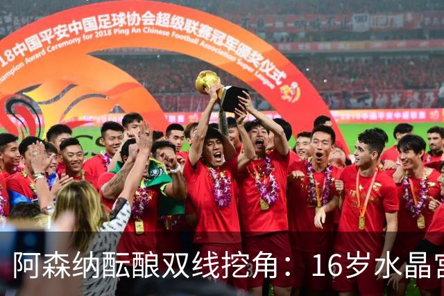 阿森纳酝酿双线挖角：16岁水晶宫边锋+卡迪夫城队史最年轻中场